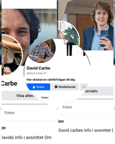 Photo post from davidcarbe.