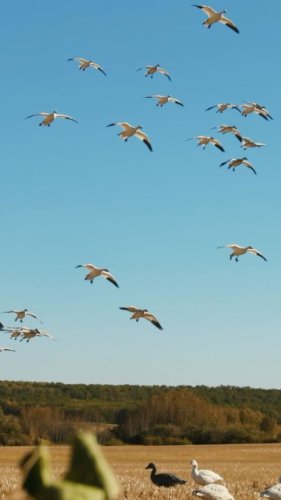 Video post from northernskiesoutfitters.