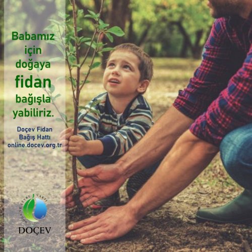 Photo post from dogavecevrevakfi.