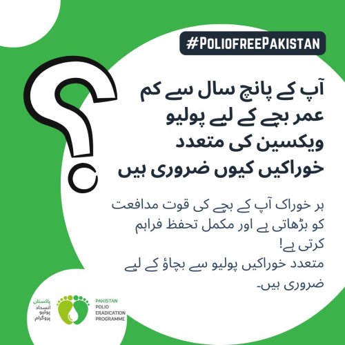 Photo post from pakfightspolio.