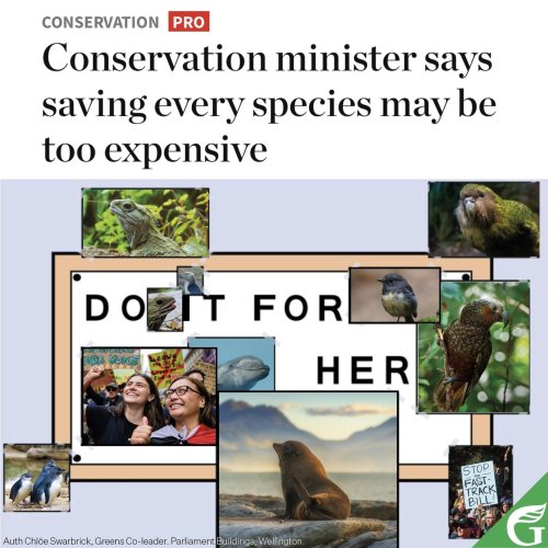 Photo post from nzgreenparty.
