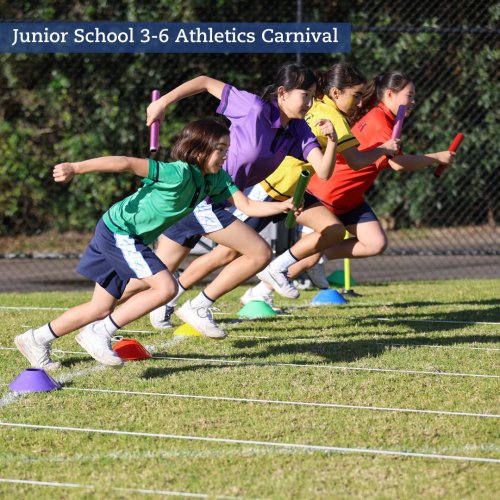 Carousel post from taraanglicanschoolforgirls.