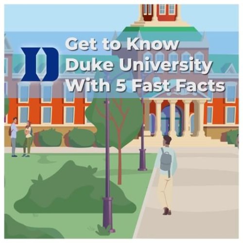 Carousel post from knovva_academy.