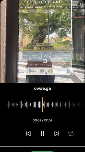 Video post from owae.ga.