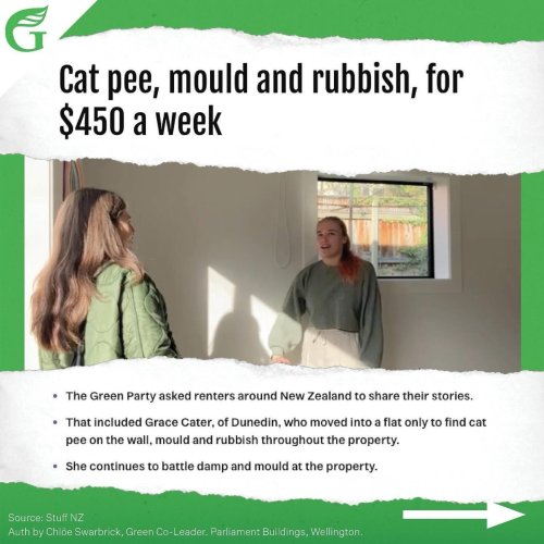 Carousel post from nzgreenparty.