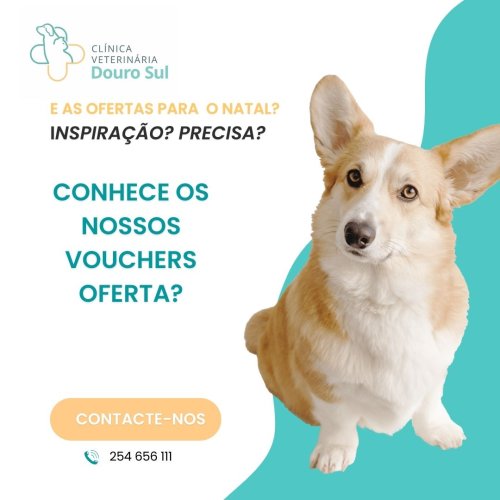 Photo post from clinica_veterinaria_dourosul.