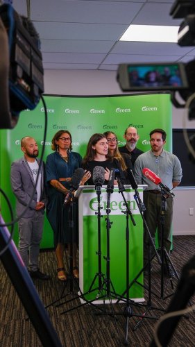 Video post from nzgreenparty.