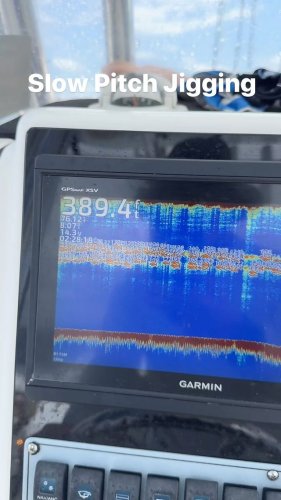 Video post from ejs_fishing_charters.