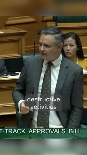 Video post from nzgreenparty.