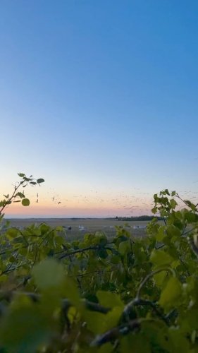 Video post from northernskiesoutfitters.