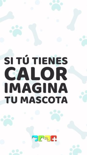 Video post from medicalpettj.