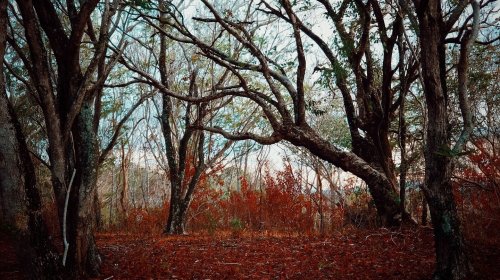 Carousel post from jakbobby.