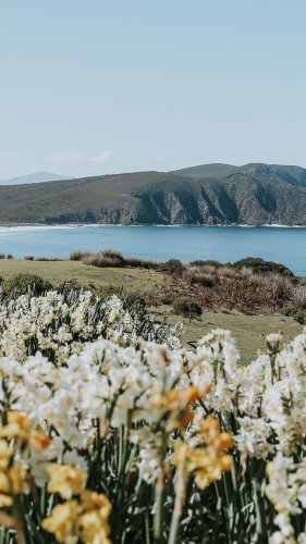 Video post from in2thewild.aus.