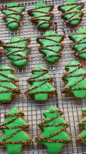 Video post from thedoughnutproject.