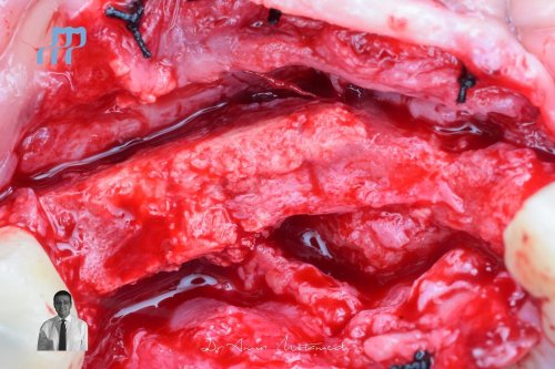 Carousel post from imperio_director.