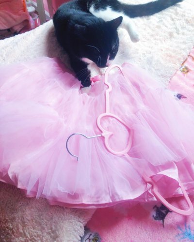 Photo post from margaritabloom.