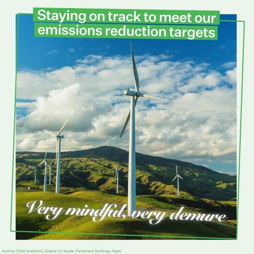 Carousel post from nzgreenparty.