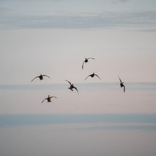 Photo post from northernskiesoutfitters.