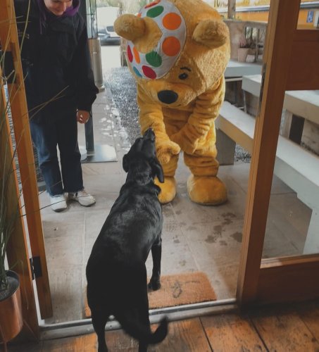 Carousel post from toast_flyford.