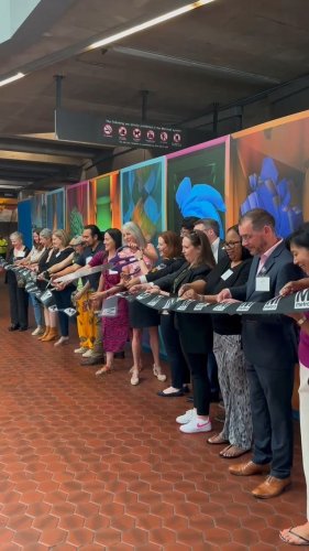 Video post from american_re_partners.