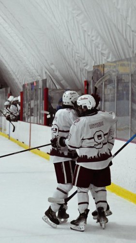 Video post from fu_hockey.