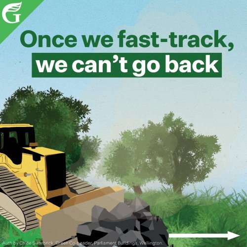 Carousel post from nzgreenparty.