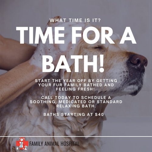 Photo post from familyanimalhospitalcm.