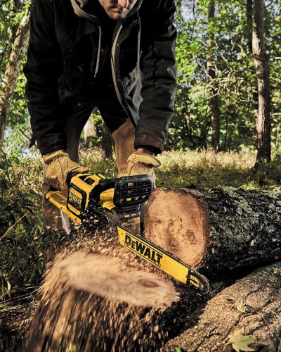 Photo post from dewalttough.