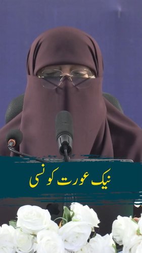 Video post from nighathashmi.