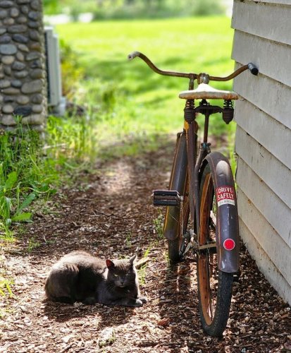 Photo post from finnriver.