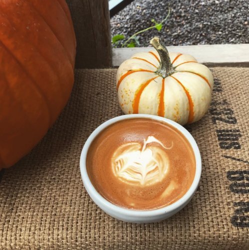 Photo post from equianocoffee.