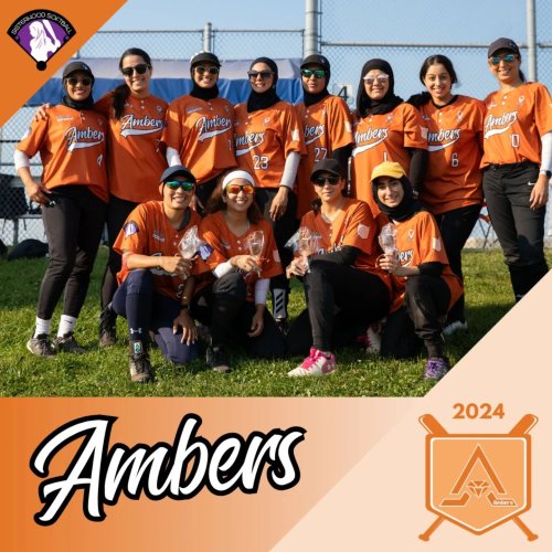 Carousel post from sisterhoodsoftball.