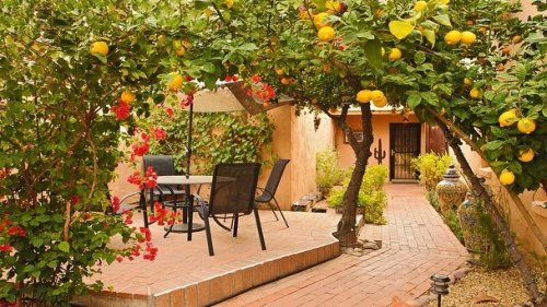 Carousel post from visittucson.