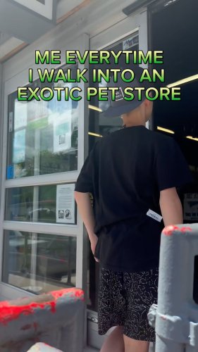 Video post from njexoticpets.