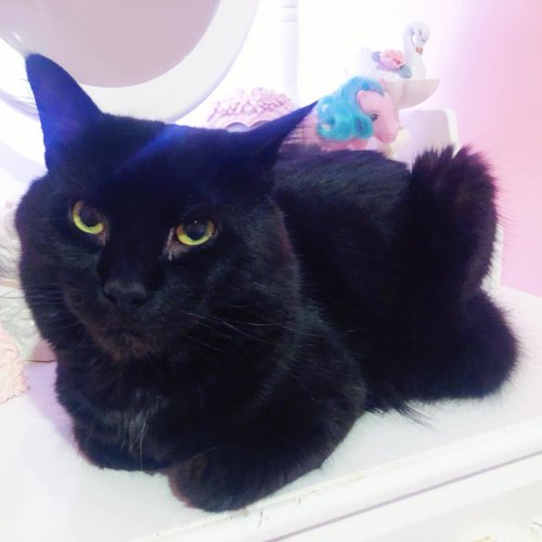 Carousel post from margaritabloom.