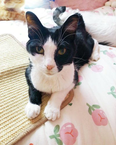 Photo post from margaritabloom.