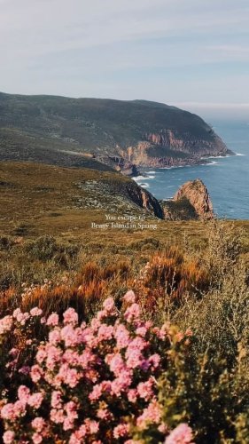 Video post from in2thewild.aus.