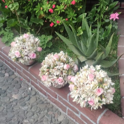 Photo post from la_gifteria.