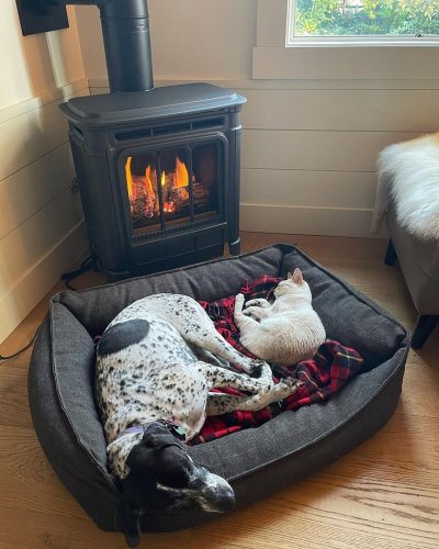 Photo post from regencyfire.