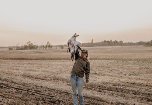 Photo post from northernskiesoutfitters.