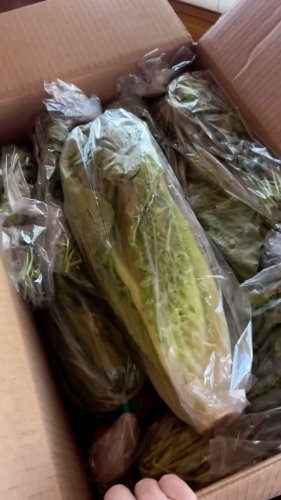 Video post from farmbox_arizona.