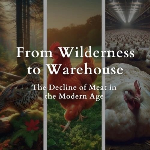 Photo post from hungryhollowfarm.