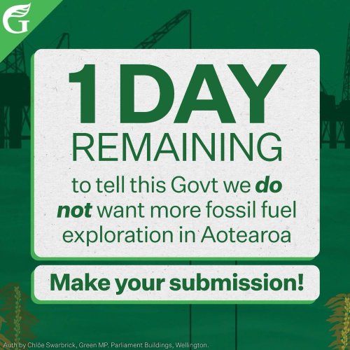 Photo post from nzgreenparty.