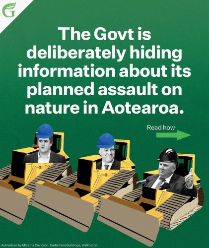 Carousel post from nzgreenparty.