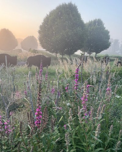 Photo post from sussexprairies.