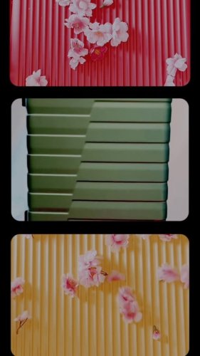 Video post from universaltraveller_my.