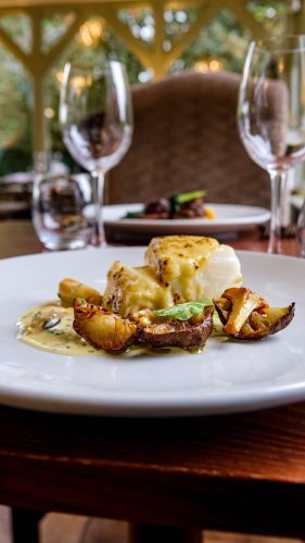 Video post from themoathouse.