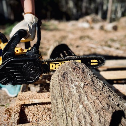 Photo post from dewalttough.