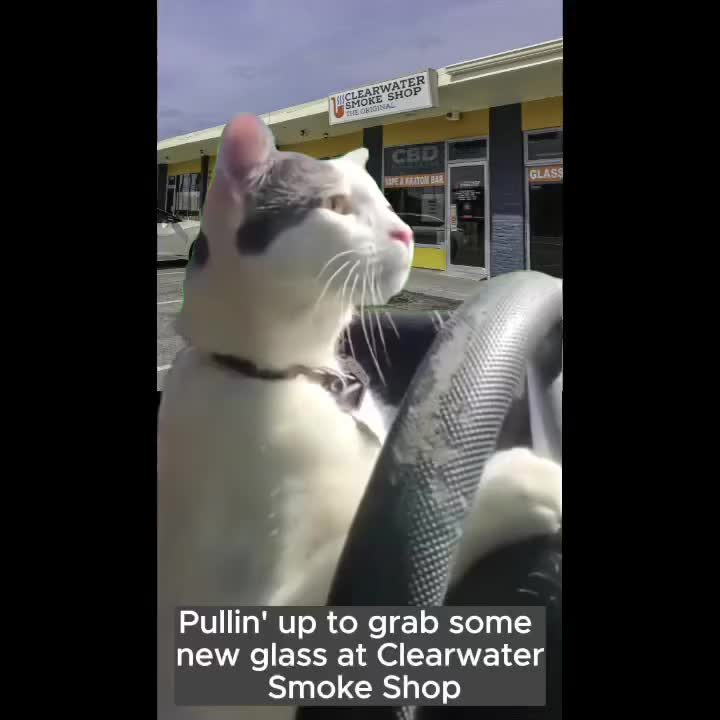 Video post from clearwatersmokeshop.