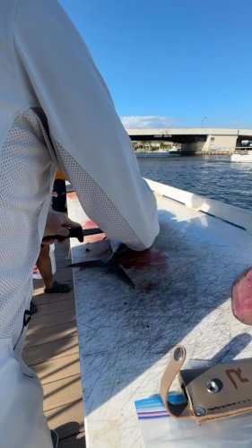 Video post from ejs_fishing_charters.